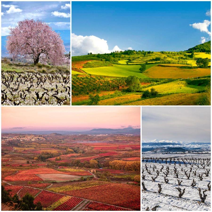 Marques De La Rioja Διαμέρισμα Λογκρόνο Εξωτερικό φωτογραφία